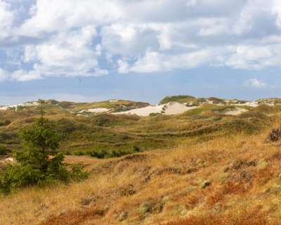 Ferienwohnung Meerblick